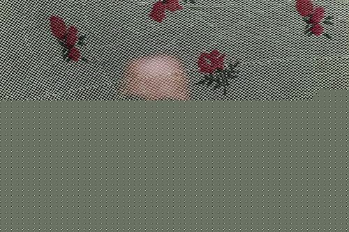 Salma behind fabric hiding her identity